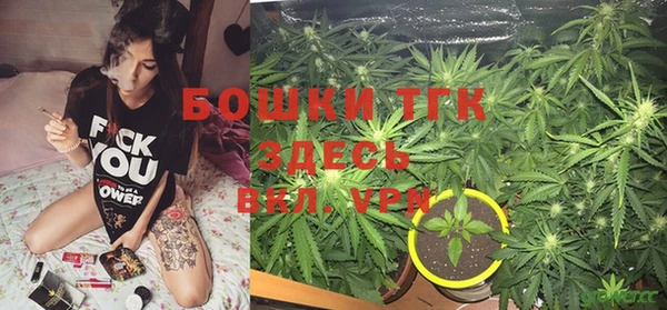 хмурый Ельня