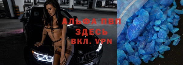 хмурый Ельня