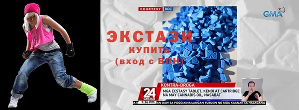 хмурый Ельня