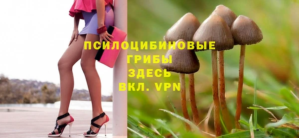 СК Елабуга