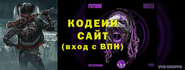 хмурый Ельня