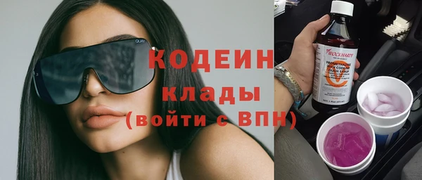 хмурый Ельня