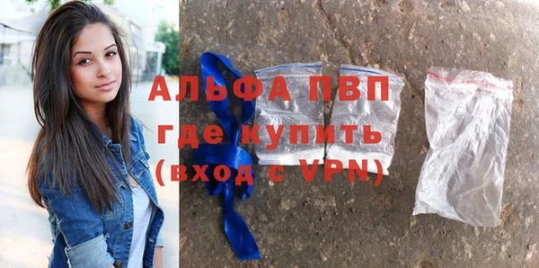 хмурый Ельня