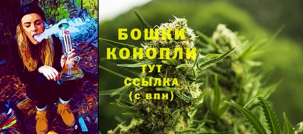 хмурый Ельня