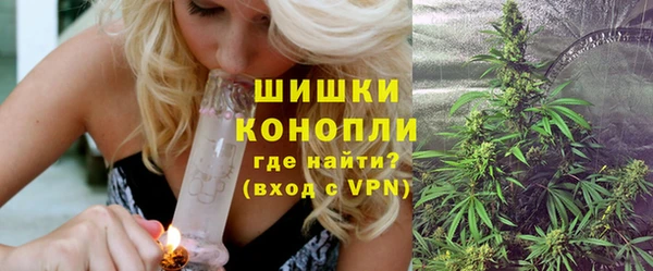 mdpv Елизово