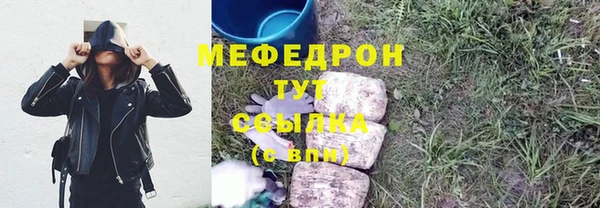 хмурый Ельня