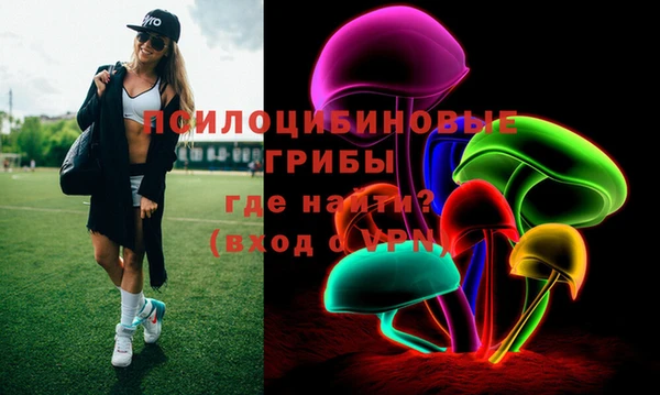 mdpv Елизово