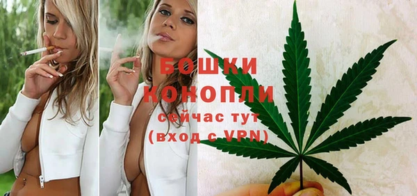 mdpv Елизово